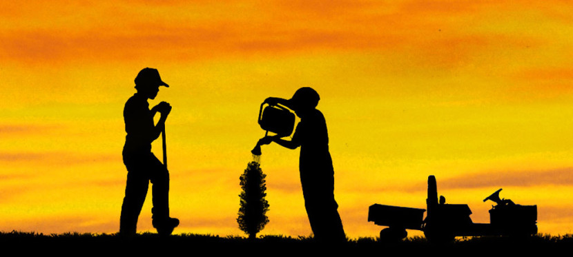 Emak, agricoltura, tramonto, pubblicità, acqua, fotocamera, bambini, giardinaggio, giardini